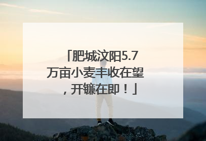 肥城汶阳5.7万亩小麦丰收在望，开镰在即！