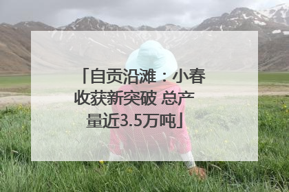 自贡沿滩：小春收获新突破 总产量近3.5万吨