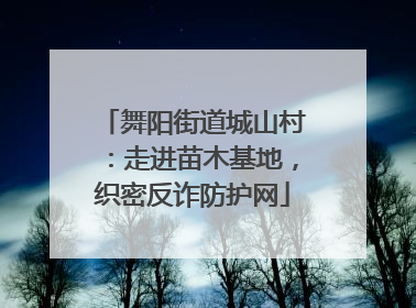 舞阳街道城山村：走进苗木基地，织密反诈防护网