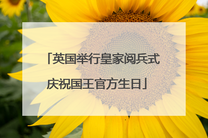 英国举行皇家阅兵式庆祝国王官方生日