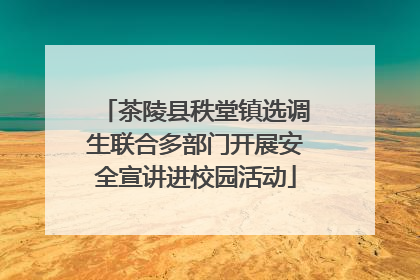 茶陵县秩堂镇选调生联合多部门开展安全宣讲进校园活动