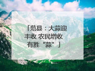 范县：大蒜迎丰收 农民增收有胜“蒜”