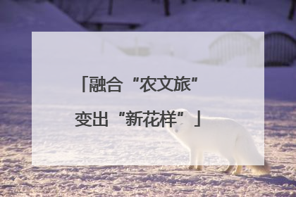 融合“农文旅” 变出“新花样”