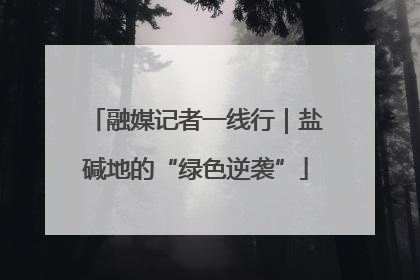 融媒记者一线行｜盐碱地的“绿色逆袭”