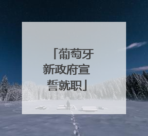 葡萄牙新政府宣誓就职