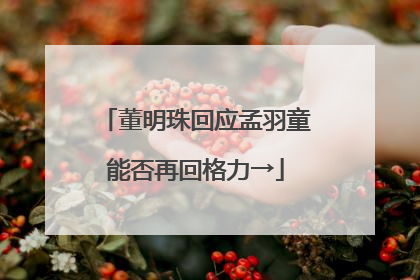 董明珠回应孟羽童能否再回格力→
