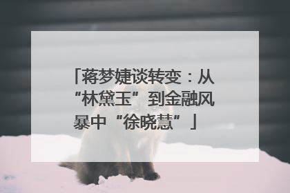 蒋梦婕谈转变：从“林黛玉”到金融风暴中“徐晓慧”