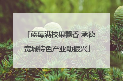 蓝莓满枝果飘香 承德宽城特色产业助振兴