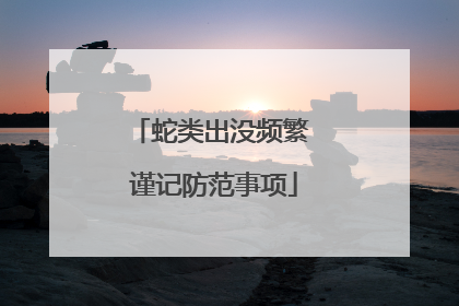 蛇类出没频繁 谨记防范事项