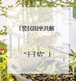 警民围坐共解“千千结”