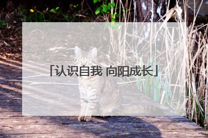 认识自我 向阳成长