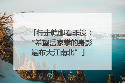 行走赣鄱看非遗：“希望岳家拳的身影遍布大江南北”