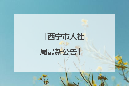 西宁市人社局最新公告
