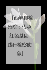 西峡县检察院：传承红色基因 践行检察使命