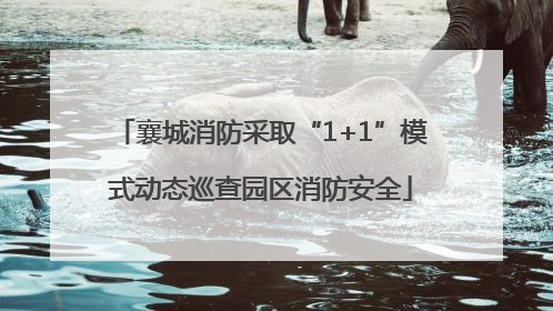 襄城消防采取“1+1”模式动态巡查园区消防安全