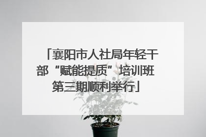襄阳市人社局年轻干部“赋能提质”培训班第三期顺利举行