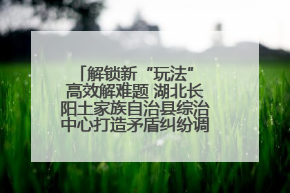 解锁新“玩法” 高效解难题 湖北长阳土家族自治县综治中心打造矛盾纠纷调处“终点站”