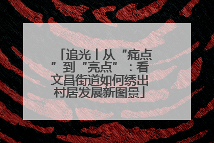 追光丨从“痛点”到“亮点”：看文昌街道如何绣出村居发展新图景