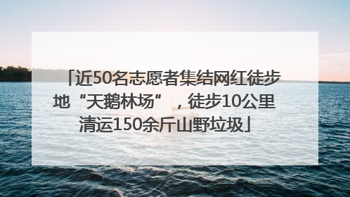 近50名志愿者集结网红徒步地“天鹅林场”，徒步10公里清运150余斤山野垃圾
