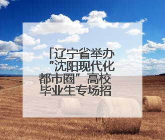 辽宁省举办“沈阳现代化都市圈”高校毕业生专场招聘会