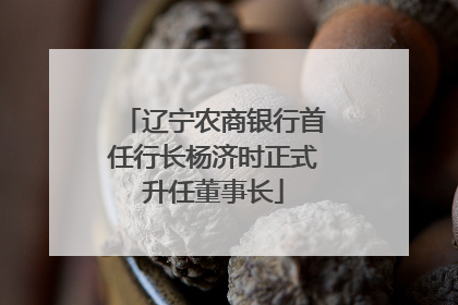 辽宁农商银行首任行长杨济时正式升任董事长