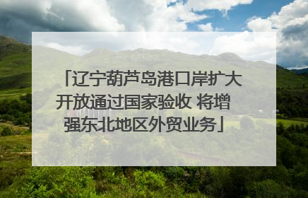 辽宁葫芦岛港口岸扩大开放通过国家验收 将增强东北地区外贸业务