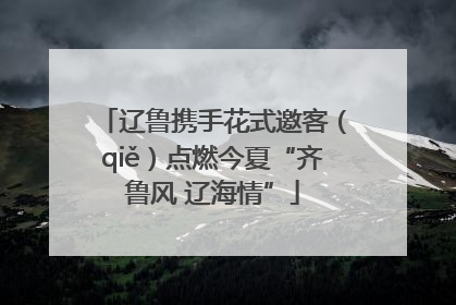 辽鲁携手花式邀客（qiě）点燃今夏“齐鲁风 辽海情”