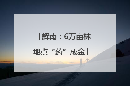 辉南：6万亩林地点“药”成金