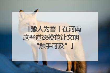 豫人为善丨在河南这些道德模范让文明“触手可及”