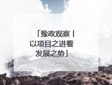 豫政观察丨以项目之进看发展之势