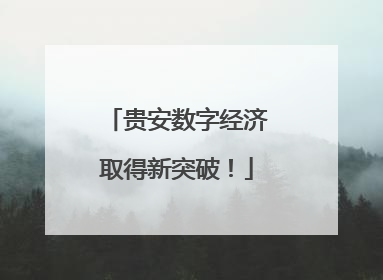 贵安数字经济取得新突破！