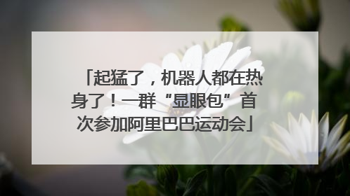 起猛了，机器人都在热身了！一群“显眼包”首次参加阿里巴巴运动会