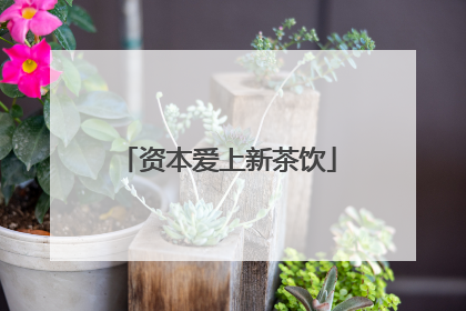 资本爱上新茶饮