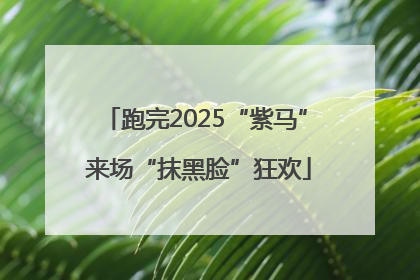 跑完2025“紫马” 来场“抹黑脸”狂欢