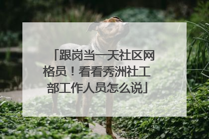跟岗当一天社区网格员！看看秀洲社工部工作人员怎么说