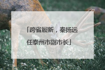 跨省履新，秦扬远任泰州市副市长