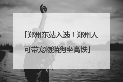 郑州东站入选！郑州人可带宠物猫狗坐高铁