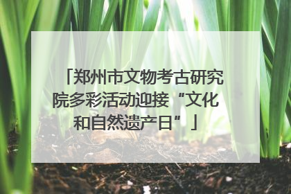 郑州市文物考古研究院多彩活动迎接“文化和自然遗产日”