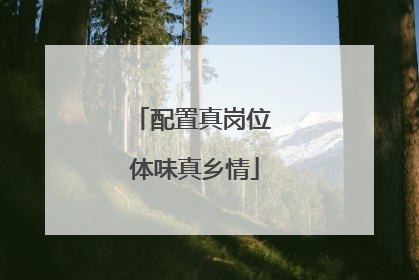配置真岗位 体味真乡情