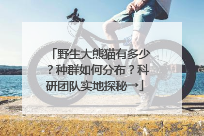 野生大熊猫有多少？种群如何分布？科研团队实地探秘→