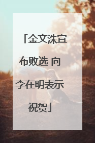 金文洙宣布败选 向李在明表示祝贺