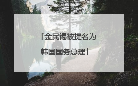 金民锡被提名为韩国国务总理