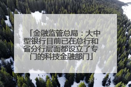 金融监管总局：大中型银行目前已在总行和省分行层面都设立了专门的科技金融部门