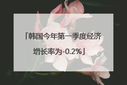 韩国今年第一季度经济增长率为-0.2%