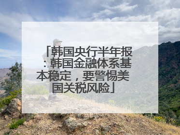 韩国央行半年报：韩国金融体系基本稳定，要警惕美国关税风险