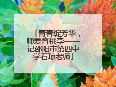 青春绽芳华，师爱育桃李——记邵阳市第四中学石琼老师