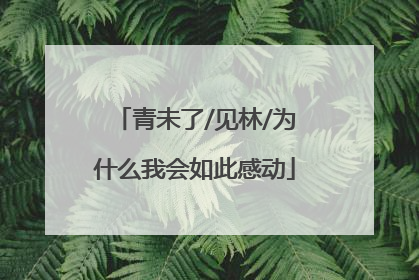 青未了/见林/为什么我会如此感动