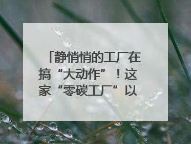 静悄悄的工厂在搞“大动作”！这家“零碳工厂”以“三创三增”探索共富新路径｜网络名人四川行
