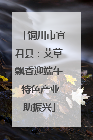 铜川市宜君县：艾草飘香迎端午 特色产业助振兴