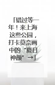 错过等一年！来上海这些公园，打卡莫奈画中的“夏日神颜”→